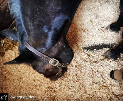 IMG_20180809_132403_549