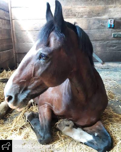 IMG_20180814_182140_352