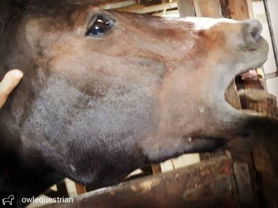 IMG_20180829_221540_675