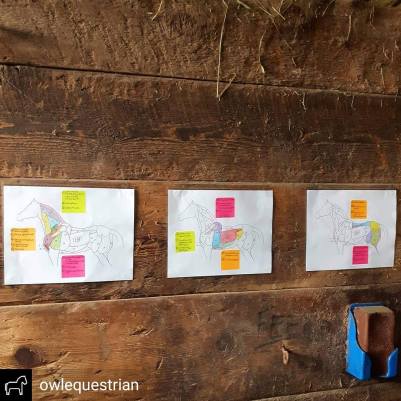 IMG_20180829_222026_756